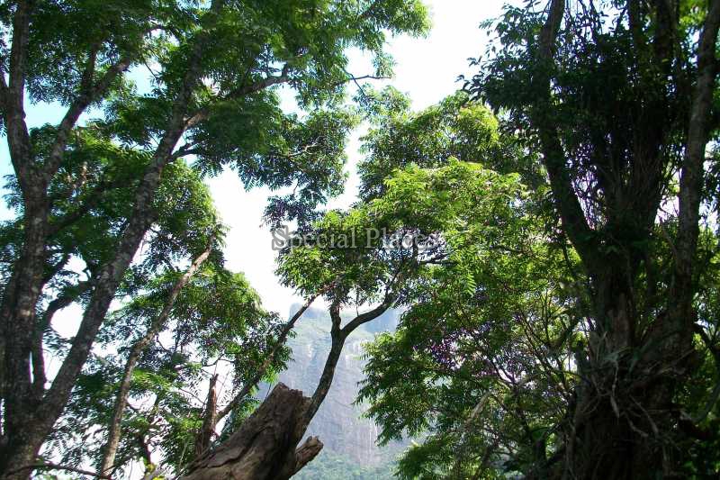 Conheça TERRENO do imóvel - Terreno 2900m² à venda São Conrado, Rio de Janeiro - R$ 1.300.000 - BAT1138 - 7 TERRENO