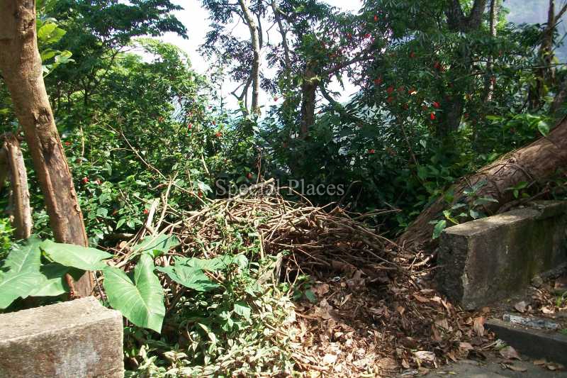 Conheça TERRENO do imóvel - Terreno 2900m² à venda São Conrado, Rio de Janeiro - R$ 1.300.000 - BAT1138 - 9 TERRENO