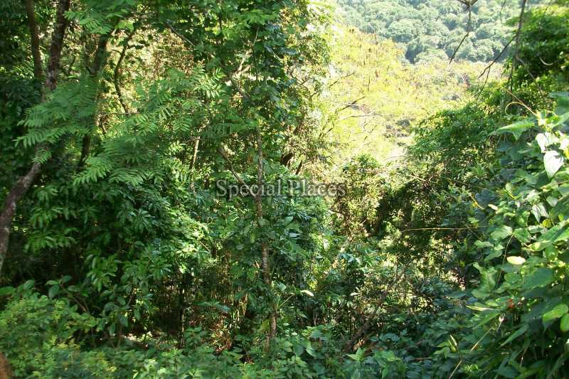 Conheça TERRENO do imóvel - Terreno 2900m² à venda São Conrado, Rio de Janeiro - R$ 1.300.000 - BAT1138 - 11 TERRENO