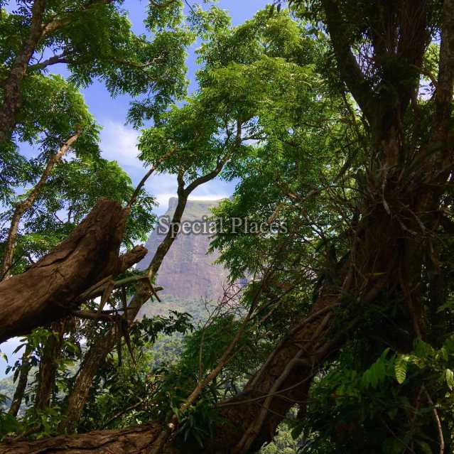 Conheça TERRENO do imóvel - Terreno 2900m² à venda São Conrado, Rio de Janeiro - R$ 1.300.000 - BAT1138 - 15 TERRENO