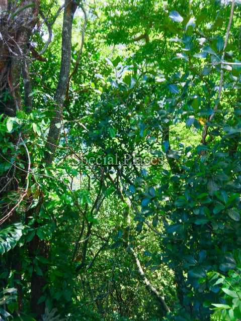Conheça TERRENO do imóvel - Terreno 2900m² à venda São Conrado, Rio de Janeiro - R$ 1.300.000 - BAT1138 - 16 TERRENO