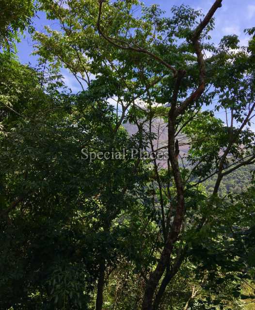 Conheça TERRENO do imóvel - Terreno 2900m² à venda São Conrado, Rio de Janeiro - R$ 1.300.000 - BAT1138 - 18 TERRENO