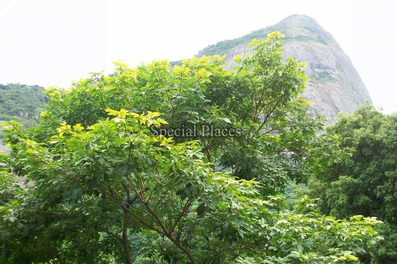 Conheça VISTA_1 do imóvel - Terreno Unifamiliar à venda São Conrado, Rio de Janeiro - R$ 900.000 - BAT1144 - 1 VISTA_1