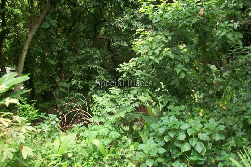 Conheça TERRENO_2 do imóvel - Terreno Unifamiliar à venda São Conrado, Rio de Janeiro - R$ 900.000 - BAT1144 - 3 TERRENO_2