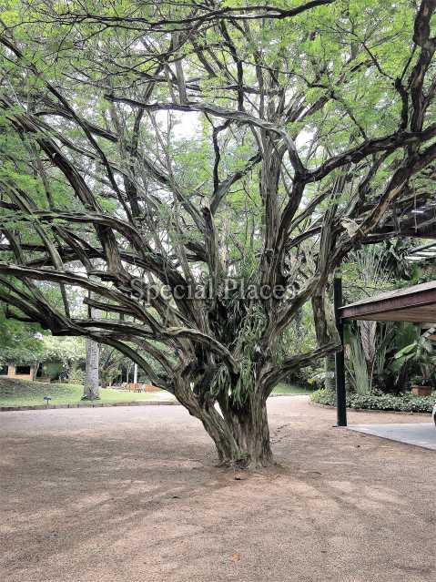 Conheça DETALHE do imóvel - Casa em Condominio Condomínio Barra, Núcleo das Mansões, Barra da Tijuca,Rio de Janeiro,RJ Para Alugar,4 Quartos,900m² - LOC1090 - 10 DETALHE
