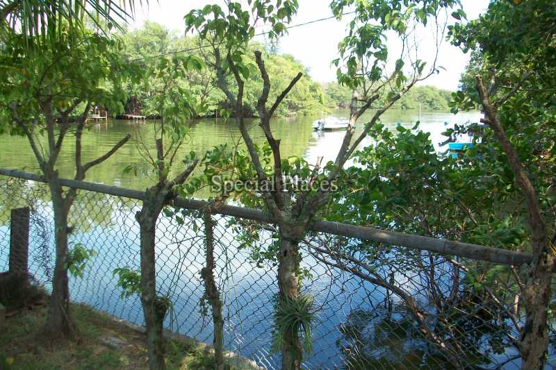 Conheça LAGOA do imóvel - Casa 3 quartos à venda Barra da Tijuca, Rio de Janeiro - R$ 2.750.000 - BAC5978 - 28 LAGOA - Casa 3 quartos à venda Barra da Tijuca, Rio de Janeiro - R$ 2.750.000 - BAC5978 - 28