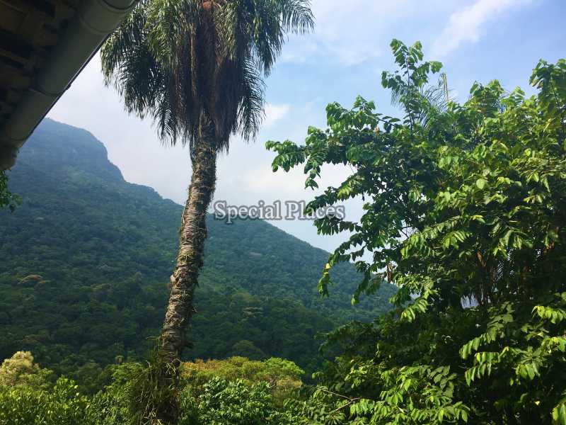 Conheça 7 vista do imóvel - Casa em Condomínio São Conrado, Pedra Bonita, São Conrado, Rio de Janeiro, RJ À Venda, 4 Quartos, 468m² - BAC6081 - 8 7 vista