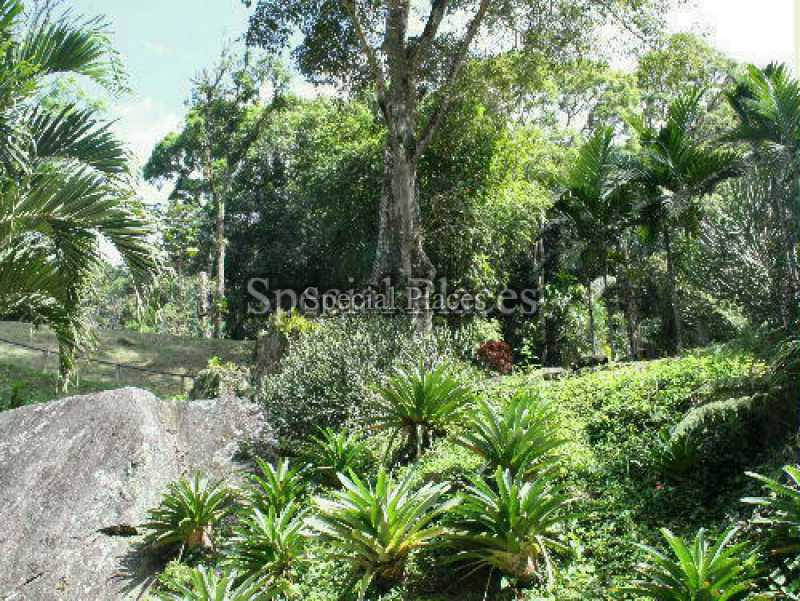 Conheça terreno4 do imóvel - Terreno para alugar Itanhangá, Rio de Janeiro - R$ 4.000 - LOC1269 - 8 terreno4