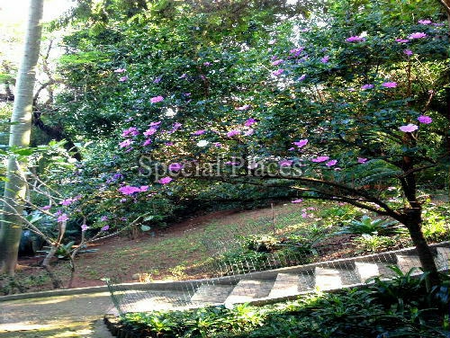 Conheça ENTRADA do imóvel - Casa em Condomínio Itanhangá, Portinho do Massarú, Itanhangá, Rio de Janeiro, RJ À Venda, 3 Quartos, 625m² - BAC2625 - 9 ENTRADA