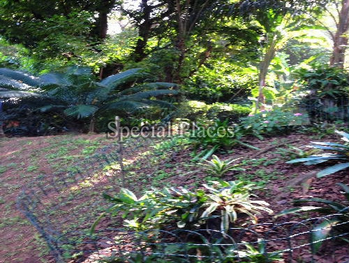 Conheça JARDIM do imóvel - Casa em Condomínio Itanhangá, Portinho do Massarú, Itanhangá, Rio de Janeiro, RJ À Venda, 3 Quartos, 625m² - BAC2625 - 10 JARDIM