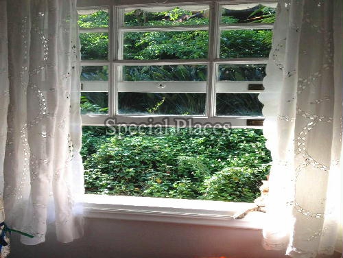 Conheça VISTA2 do imóvel - Casa em Condomínio Itanhangá, Portinho do Massarú, Itanhangá, Rio de Janeiro, RJ À Venda, 3 Quartos, 625m² - BAC2625 - 29 VISTA2