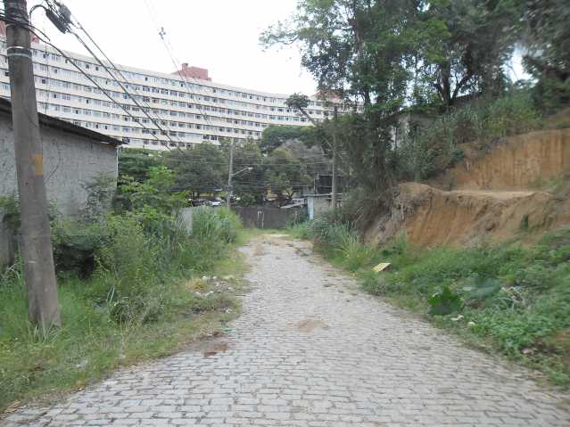 Conheça SAM_0659 do imóvel - Terreno Multifamiliar à venda Rua Sebastião Ferreira Pinto,Tanque, BAIRROS DE ATUAÇÃO ,Rio de Janeiro - R$ 549.000 - TAMF00011 - 7 SAM_0659 - Terreno Multifamiliar à venda Rua Sebastião Ferreira Pinto,Tanque, BAIRROS DE ATUAÇÃO ,Rio de Janeiro - R$ 549.000 - TAMF00011 - 7
