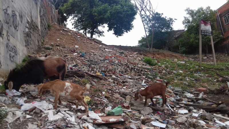 Conheça WhatsApp Image 2017-10-24 at 1 do imóvel - Terreno 1936m² à venda Rua Cândido Benício,Praça Seca, Rio de Janeiro - R$ 900.000 - PSMF00002 - 5 WhatsApp Image 2017-10-24 at 1 - Terreno 1936m² à venda Rua Cândido Benício,Praça Seca, Rio de Janeiro - R$ 900.000 - PSMF00002 - 5