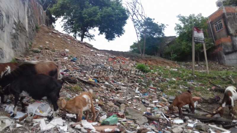 Conheça WhatsApp Image 2017-10-24 at 1 do imóvel - Terreno 1936m² à venda Rua Cândido Benício,Praça Seca, Rio de Janeiro - R$ 900.000 - PSMF00002 - 4 WhatsApp Image 2017-10-24 at 1 - Terreno 1936m² à venda Rua Cândido Benício,Praça Seca, Rio de Janeiro - R$ 900.000 - PSMF00002 - 4