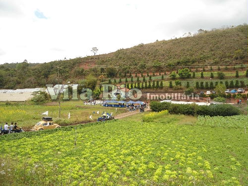 Conheça PLANTAÇÃO do imóvel - Sítio à venda Posse, Petrópolis - R$ 900.000 - VI00001 - 7 PLANTAÇÃO - Sítio à venda Posse, Petrópolis - R$ 900.000 - VI00001 - 7
