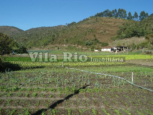 Conheça PLANTAÇÃO 1 do imóvel - Sítio à venda Posse, Petrópolis - R$ 900.000 - VI00001 - 8 PLANTAÇÃO 1 - Sítio à venda Posse, Petrópolis - R$ 900.000 - VI00001 - 8