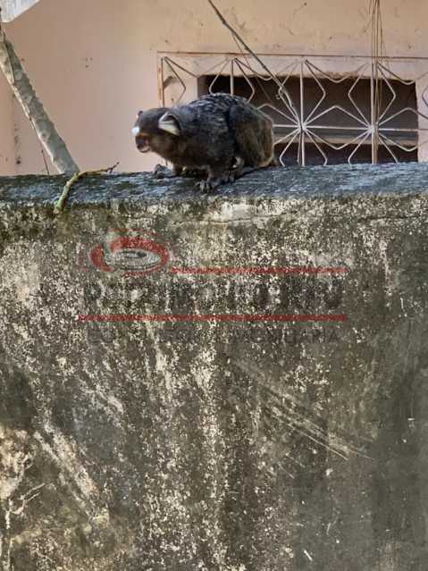 Conheça WhatsApp Image 2020-07-13 at 1 do imóvel - Casa Duplex 5quartos Penha Circular - PACA50068 - 6 WhatsApp Image 2020-07-13 at 1 - Casa Duplex 5quartos Penha Circular - PACA50068 - 6