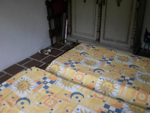 Conheça FOTO10 do imóvel - Casa 3 quartos à venda Camorim, Rio de Janeiro - R$ 2.500.000 - PR30343 - 11 FOTO10 - Casa 3 quartos à venda Camorim, Rio de Janeiro - R$ 2.500.000 - PR30343 - 11
