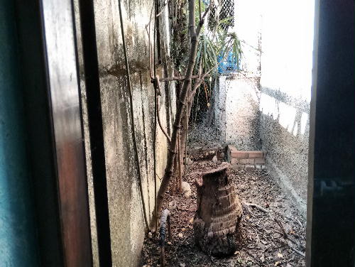 Conheça QUINTAL do imóvel - Casa Taquara,Rio de Janeiro,RJ À Venda,4 Quartos,179m² - PR40108 - 6 QUINTAL - Casa Taquara,Rio de Janeiro,RJ À Venda,4 Quartos,179m² - PR40108 - 6