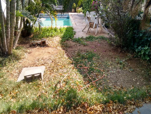 Conheça QUINTAL E PISCINA do imóvel - Casa Taquara,Rio de Janeiro,RJ À Venda,4 Quartos,179m² - PR40108 - 4 QUINTAL E PISCINA - Casa Taquara,Rio de Janeiro,RJ À Venda,4 Quartos,179m² - PR40108 - 4