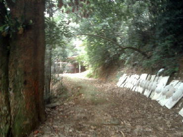 Conheça TERRENO... do imóvel - Terreno Multifamiliar à venda Taquara, Rio de Janeiro - R$ 5.000.000 - PT00017 - 5 TERRENO... - Terreno Multifamiliar à venda Taquara, Rio de Janeiro - R$ 5.000.000 - PT00017 - 5