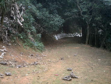 Conheça TERRENO do imóvel - Terreno Multifamiliar à venda Taquara, Rio de Janeiro - R$ 5.000.000 - PT00017 - 1 TERRENO - Terreno Multifamiliar à venda Taquara, Rio de Janeiro - R$ 5.000.000 - PT00017 - 1