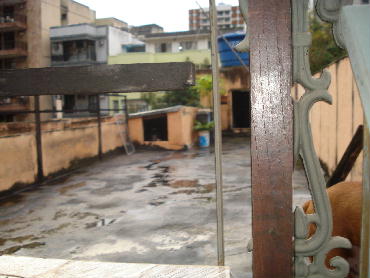 Conheça FOTO25 do imóvel - Casa à venda Rua Dezoito de Outubro,Tijuca, Rio de Janeiro - R$ 1.800.000 - EC7179 - 26 FOTO25 - Casa à venda Rua Dezoito de Outubro,Tijuca, Rio de Janeiro - R$ 1.800.000 - EC7179 - 26