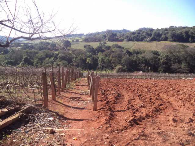 Conheça 91.000 m² do imóvel - Sítio 91000m² à venda Itatiba,SP - R$ 7.000.000 - FCSI00007 - 6 91.000 m² - Sítio 91000m² à venda Itatiba,SP - R$ 7.000.000 - FCSI00007 - 6