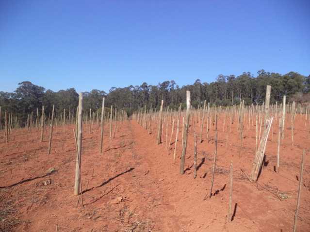 Conheça Ideal para Loteamento do imóvel - Sítio 91000m² à venda Itatiba,SP - R$ 7.000.000 - FCSI00007 - 10 Ideal para Loteamento - Sítio 91000m² à venda Itatiba,SP - R$ 7.000.000 - FCSI00007 - 10