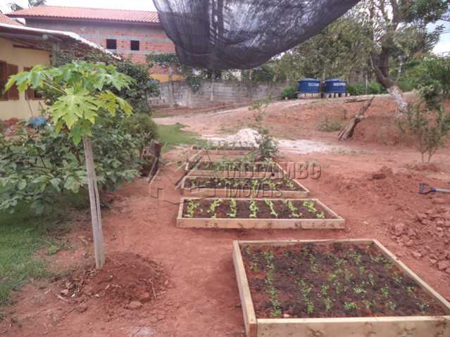 Conheça Horta do imóvel - Chácara Itatiba, Recanto dos Pássaros, SP À Venda, 2 Quartos, 113m² - FCCH00017 - 21 Horta - Chácara Itatiba, Recanto dos Pássaros, SP À Venda, 2 Quartos, 113m² - FCCH00017 - 21