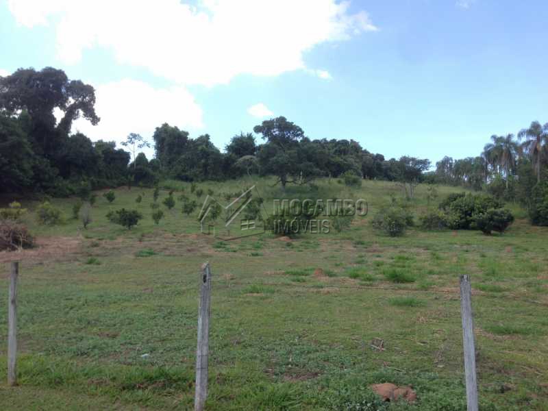 Conheça Pomar/Área Livre do imóvel - Sítio 24000m² à venda Itatiba,SP - R$ 1.400.000 - FCSI60001 - 19 Pomar/Área Livre - Sítio 24000m² à venda Itatiba,SP - R$ 1.400.000 - FCSI60001 - 19