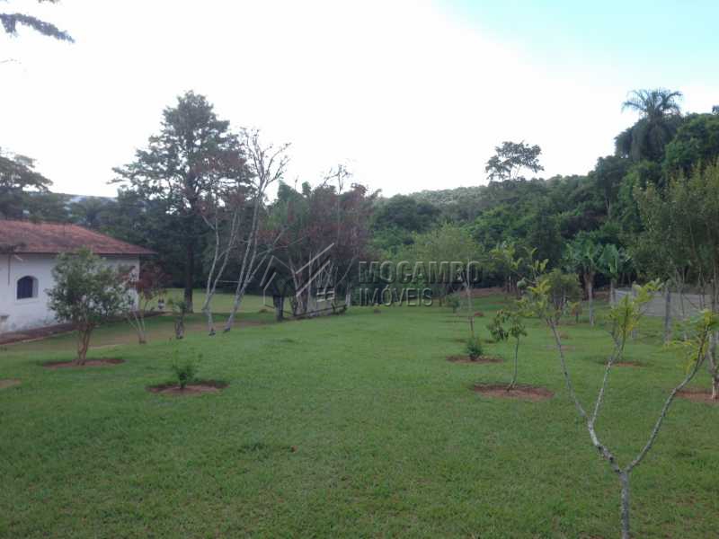 Conheça Pomar do imóvel - Sítio 24000m² à venda Itatiba,SP - R$ 1.400.000 - FCSI60001 - 20 Pomar - Sítio 24000m² à venda Itatiba,SP - R$ 1.400.000 - FCSI60001 - 20
