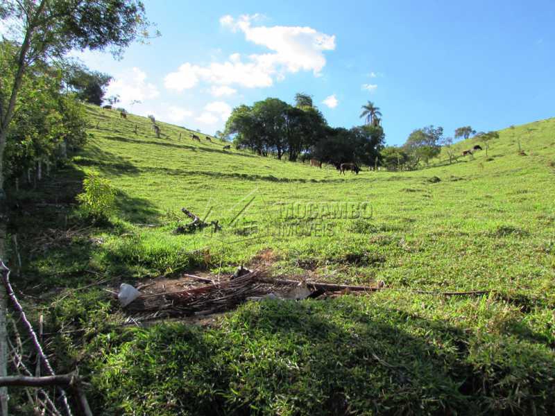 Conheça Pasto do imóvel - Sítio 25000m² à venda Itatiba,SP - R$ 1.100.000 - FCSI30001 - 7 Pasto - Sítio 25000m² à venda Itatiba,SP - R$ 1.100.000 - FCSI30001 - 7