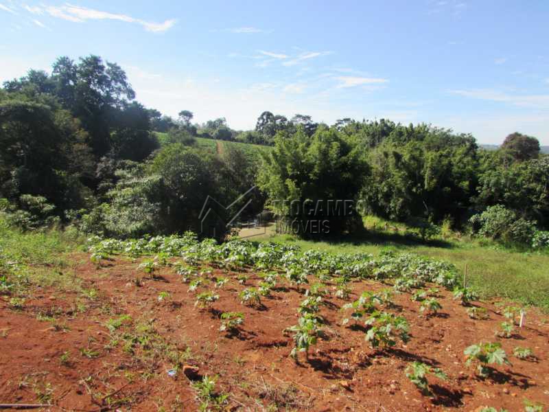 Conheça Area de plantio do imóvel - Sítio à venda Itatiba,SP - R$ 1.500.000 - FCSI30002 - 24 Area de plantio - Sítio à venda Itatiba,SP - R$ 1.500.000 - FCSI30002 - 24