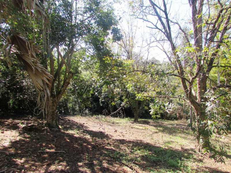 Conheça Pomar do imóvel - Sítio à venda Itatiba,SP - R$ 1.500.000 - FCSI30002 - 17 Pomar - Sítio à venda Itatiba,SP - R$ 1.500.000 - FCSI30002 - 17