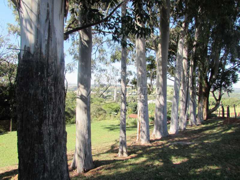 Conheça Bosque do imóvel - Sítio à venda Itatiba,SP - R$ 1.500.000 - FCSI30002 - 16 Bosque - Sítio à venda Itatiba,SP - R$ 1.500.000 - FCSI30002 - 16