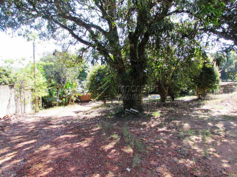 Conheça Pomar do imóvel - Chácara 3548m² à venda Itatiba,SP - R$ 800.000 - FCCH30097 - 6 Pomar - Chácara 3548m² à venda Itatiba,SP - R$ 800.000 - FCCH30097 - 6