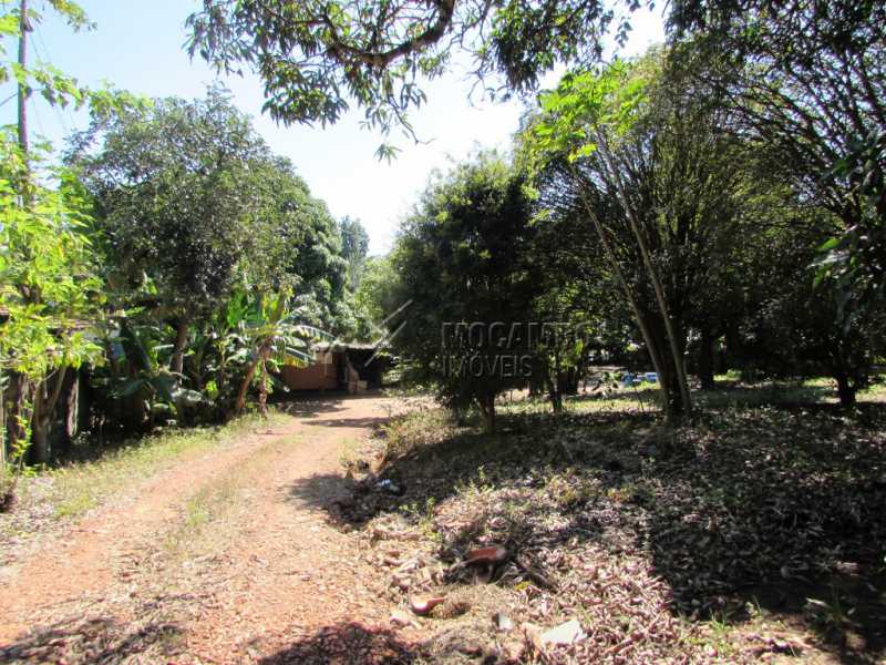 Conheça Pomar do imóvel - Chácara 3548m² à venda Itatiba,SP - R$ 800.000 - FCCH30097 - 7 Pomar - Chácara 3548m² à venda Itatiba,SP - R$ 800.000 - FCCH30097 - 7