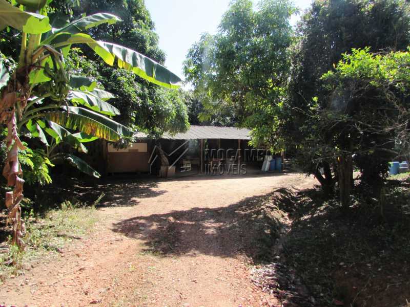 Conheça Pomar do imóvel - Chácara 3548m² à venda Itatiba,SP - R$ 800.000 - FCCH30097 - 8 Pomar - Chácara 3548m² à venda Itatiba,SP - R$ 800.000 - FCCH30097 - 8