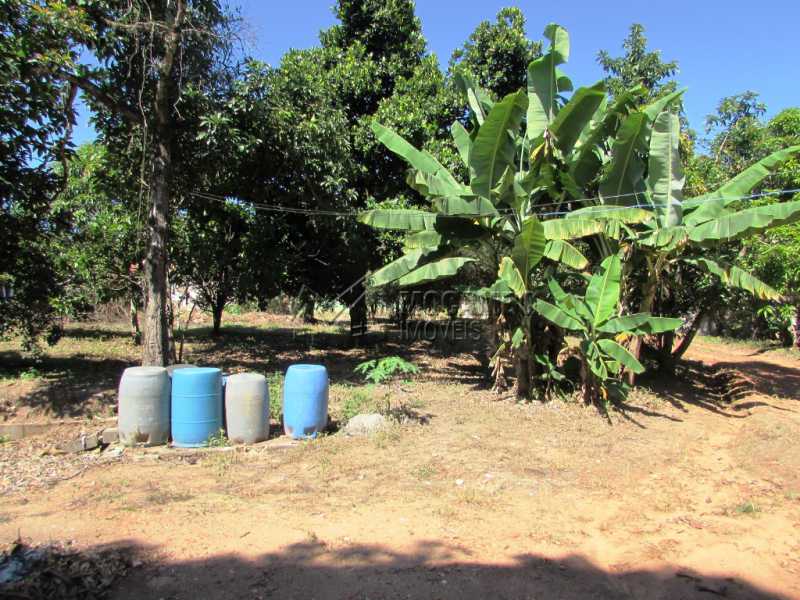 Conheça Pomar do imóvel - Chácara 3548m² à venda Itatiba,SP - R$ 800.000 - FCCH30097 - 9 Pomar - Chácara 3548m² à venda Itatiba,SP - R$ 800.000 - FCCH30097 - 9