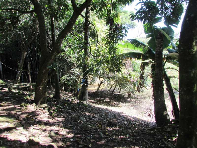 Conheça Pomar do imóvel - Chácara 3548m² à venda Itatiba,SP - R$ 800.000 - FCCH30097 - 10 Pomar - Chácara 3548m² à venda Itatiba,SP - R$ 800.000 - FCCH30097 - 10