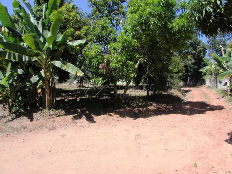 Conheça Pomar do imóvel - Chácara 3548m² à venda Itatiba,SP - R$ 800.000 - FCCH30097 - 12 Pomar - Chácara 3548m² à venda Itatiba,SP - R$ 800.000 - FCCH30097 - 12
