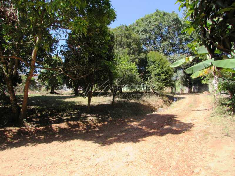 Conheça Pomar do imóvel - Chácara 3548m² à venda Itatiba,SP - R$ 800.000 - FCCH30097 - 13 Pomar - Chácara 3548m² à venda Itatiba,SP - R$ 800.000 - FCCH30097 - 13