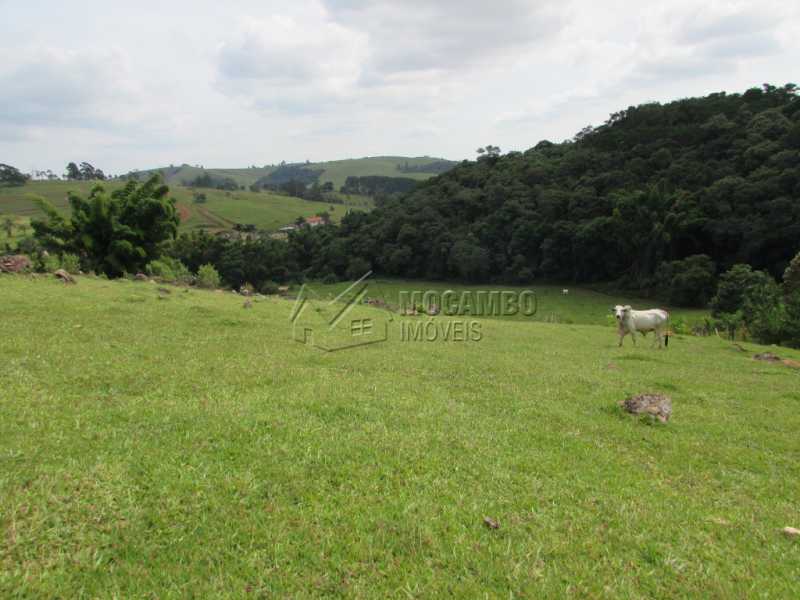 Conheça Pastagens do imóvel - Sítio 193600m² à venda Itatiba,SP - R$ 2.500.000 - FCSI30003 - 30 Pastagens - Sítio 193600m² à venda Itatiba,SP - R$ 2.500.000 - FCSI30003 - 30
