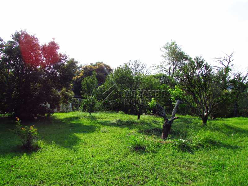 Conheça Pomar formado do imóvel - Casa em Condomínio 3 Quartos Para Alugar Itatiba,SP - R$ 6.500 - FCCN30361 - 15 Pomar formado - Casa em Condomínio 3 Quartos Para Alugar Itatiba,SP - R$ 6.500 - FCCN30361 - 15