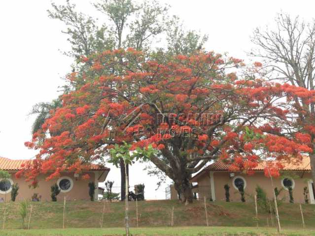 Conheça Árvore do imóvel - Terreno Unifamiliar à venda Itatiba,SP - R$ 320.000 - FCUF01226 - 15 Árvore - Terreno Unifamiliar à venda Itatiba,SP - R$ 320.000 - FCUF01226 - 15