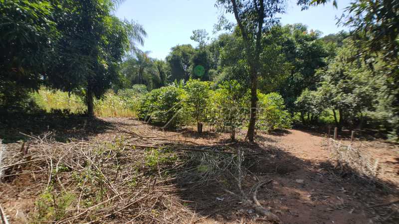 Conheça Pomar do imóvel - Sítio 49000m² à venda Itatiba,SP - R$ 1.500.000 - FCSI20011 - 8 Pomar - Sítio 49000m² à venda Itatiba,SP - R$ 1.500.000 - FCSI20011 - 8