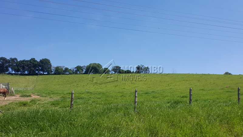Conheça Pasto do imóvel - Sítio 49000m² à venda Itatiba,SP - R$ 1.500.000 - FCSI20011 - 9 Pasto - Sítio 49000m² à venda Itatiba,SP - R$ 1.500.000 - FCSI20011 - 9