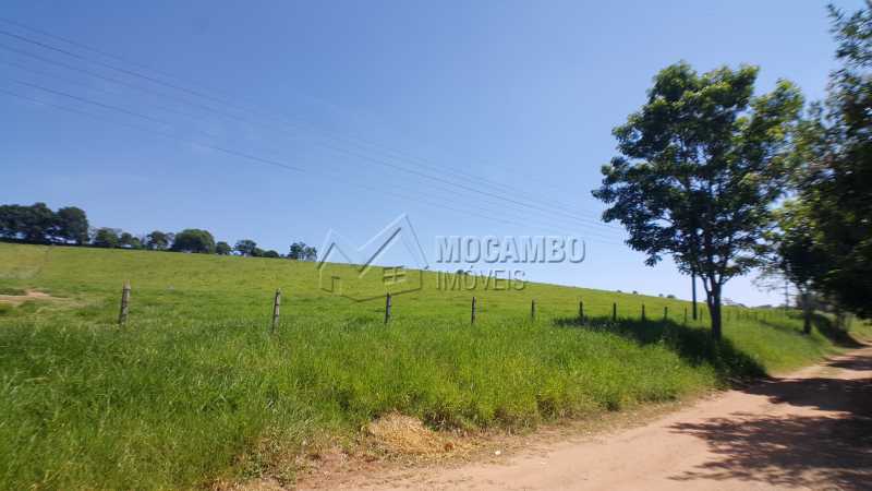 Conheça Pasto do imóvel - Sítio 49000m² à venda Itatiba,SP - R$ 1.500.000 - FCSI20011 - 1 Pasto - Sítio 49000m² à venda Itatiba,SP - R$ 1.500.000 - FCSI20011 - 1