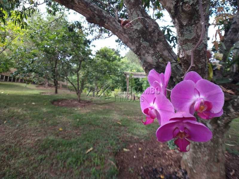 Conheça Pomar do imóvel - Casa em Condomínio 4 quartos para venda e aluguel Itatiba,SP - R$ 9.000 - FCCN40171 - 4 Pomar - Casa em Condomínio 4 quartos para venda e aluguel Itatiba,SP - R$ 9.000 - FCCN40171 - 4